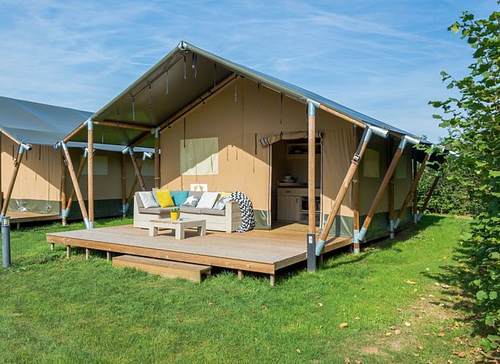 Guest house 3222134 • Tent house Veluwe • Luxe safaritent 