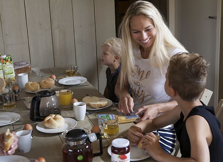 Guest house 3222134 - Tent house Veluwe - Luxe safaritent