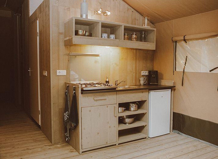 Guest house 3222134 - Tent house Veluwe - Luxe safaritent