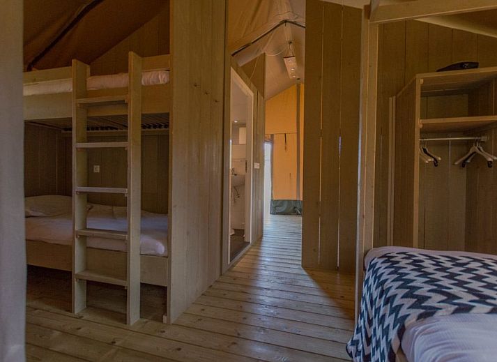 Guest house 3222134 - Tent house Veluwe - Luxe safaritent