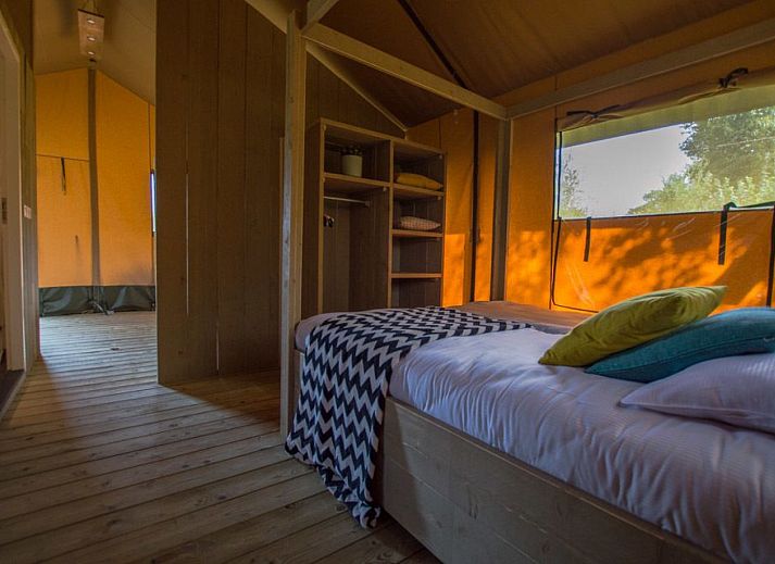 Guest house 3222134 - Tent house Veluwe - Luxe safaritent