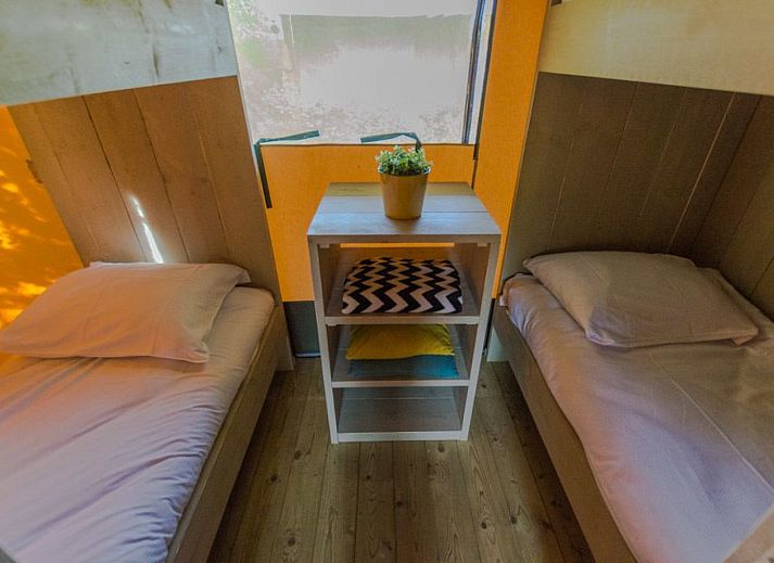 Guest house 3222134 - Tent house Veluwe - Luxe safaritent