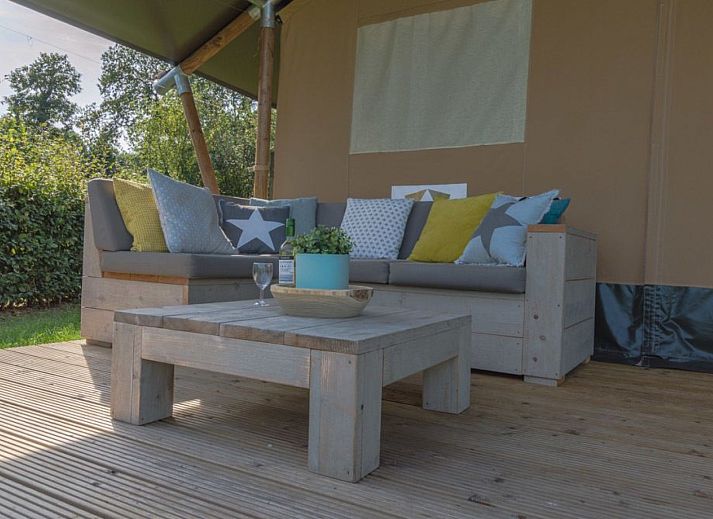 Guest house 3222134 - Tent house Veluwe - Luxe safaritent