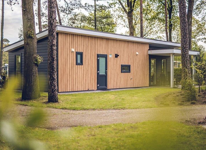 Unterkunft 3222143 - Ferienhaus Veluwe - Bosvilla