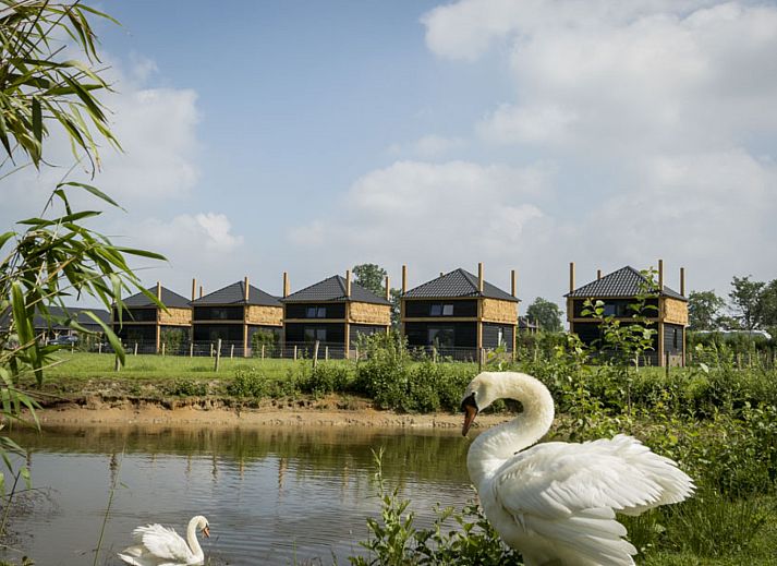 Guest house 3222145 - Holiday property Veluwe - Vakantiehuisje hooiberg