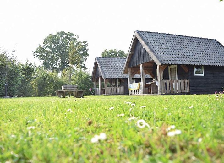 Unterkunft 3222149 - Ferienhaus Veluwe - Houtlodge