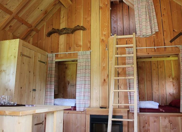 Unterkunft 3222149 - Ferienhaus Veluwe - Houtlodge