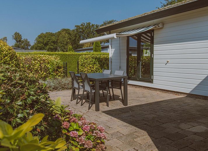 Unterkunft 3222150 - Ferienhaus Veluwe - Wilbrinkchalet