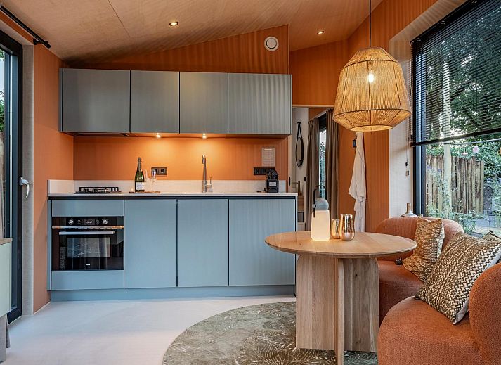 Guest house 3222160 - Holiday property Veluwe - Tiny Wellness Suite