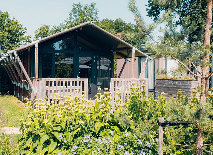 Verblijf 3222167 - Tenthuis Veluwe - Tiny Safari House