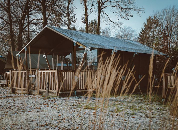 Verblijf 3222167 - Tenthuis Veluwe - Tiny Safari House