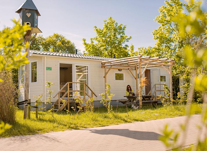Unterkunft 3222170 • Ferienhaus Veluwe • Zomerhuisjes 