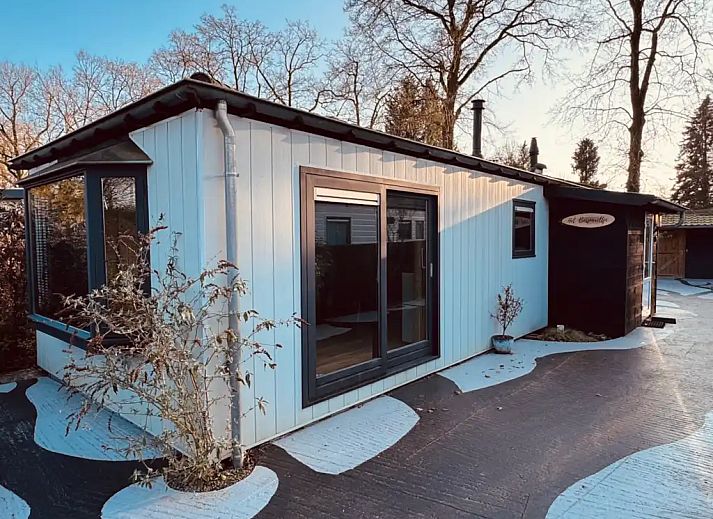 Verblijf 3222179 - Chalet Veluwe - Het Bospareltje