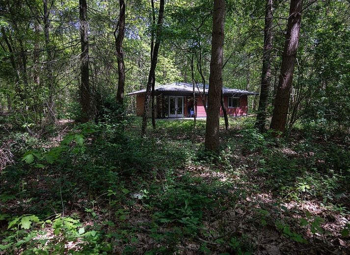 Vakantiehuis in Voorthuizen verscholen in de Veluwse bossen, Gelderland. Geniet van rust en natuur in deze vakantiewoning.