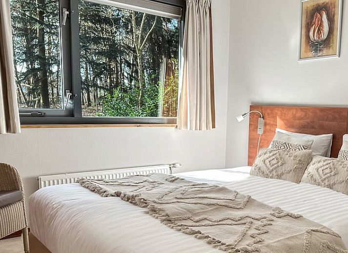 Binnenruimte van Vakantiehuis in Voorthuizen, Veluwe. Gezellige woonkamer met veel lichtinval, ideaal voor ontspanning.