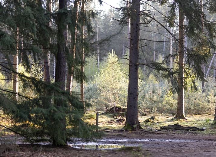 Keukenraam met uitzicht op de natuur in Vakantiehuis in Voorthuizen, Veluwe. Geniet van de groene omgeving tijdens het koken.