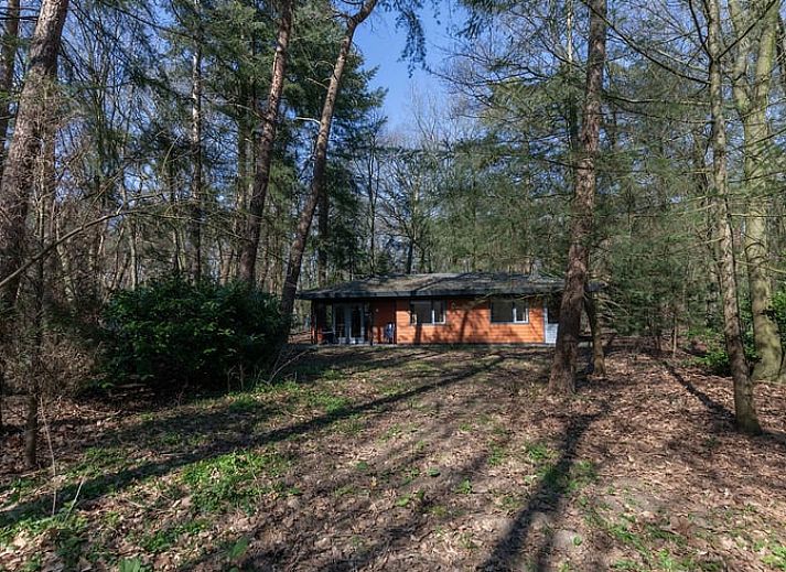 Gemuetlicher Innenbereich des Ferienhauses in Voorthuizen mit Blick auf die Terrasse und das Waldgebiet, gelegen in Veluwe, Gelderland.