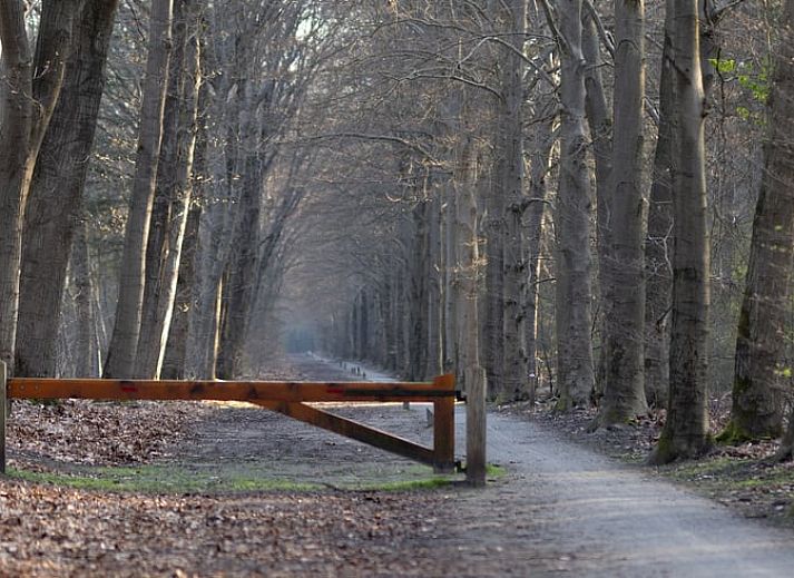 Gemuetliches Wohnzimmer des Ferienhauses in Voorthuizen mit Blick auf die Terrasse und das Waldgebiet, gelegen in Veluwe, Gelderland.