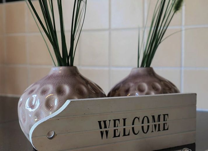 Comfortabele ligstoelen op het terras van Vakantiehuis in Voorthuizen Veluwe.
