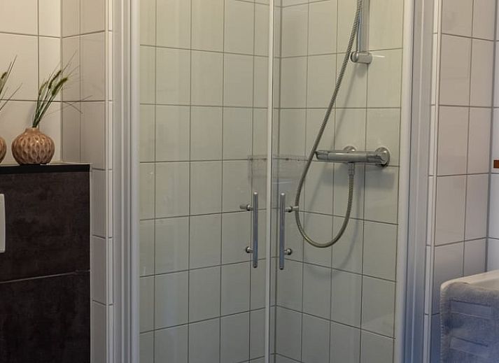 Tafeltennistafel in de tuin van Vakantiehuis in Voorthuizen Veluwe voor sportieve gasten.