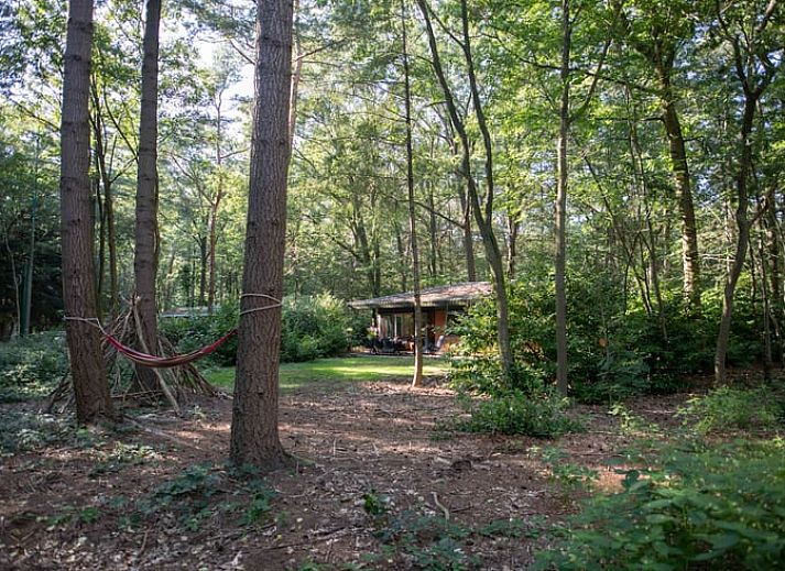 Unterkunft 322228 - Ferienhaus Veluwe - Vakantiehuis in Voorthuizen