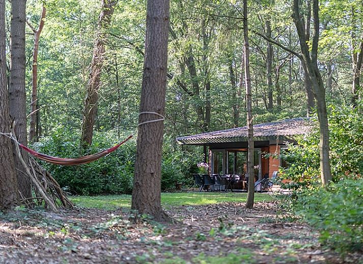 Unterkunft 322228 - Ferienhaus Veluwe - Vakantiehuis in Voorthuizen