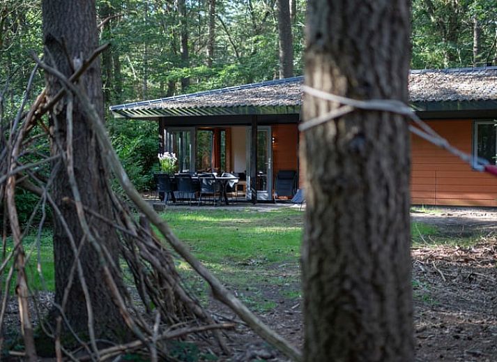 Unterkunft 322228 - Ferienhaus Veluwe - Vakantiehuis in Voorthuizen
