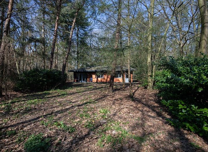 Verblijf 322229 • Vakantiewoning Veluwe • Poort naar de Veluwe