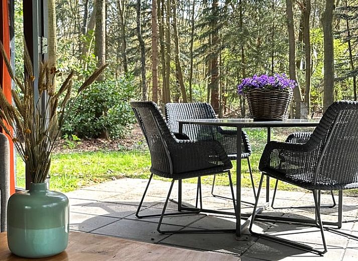 Das Ferienhaus in Voorthuizen, umgeben von den Waeldern der Veluwe, bietet einen ruhigen Rueckzugsort in Gelderland.