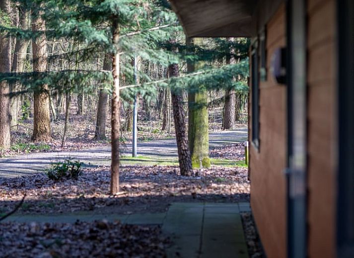Offenes Wohnzimmer und Kueche im Ferienhaus in Voorthuizen, ideal fuer einen entspannten Aufenthalt in der Veluwe.