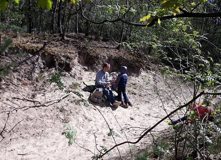 Eichhoernchen entdeckt im Wald in der Naehe des Ferienhauses in Voorthuizen, Veluwe, Gelderland.