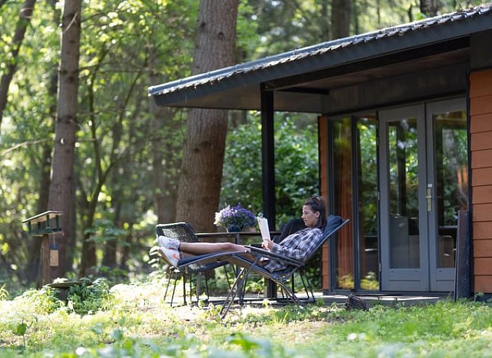 Ferienhaus in Voorthuizen, umgeben von waldreicher Natur an der Veluwe in Gelderland.