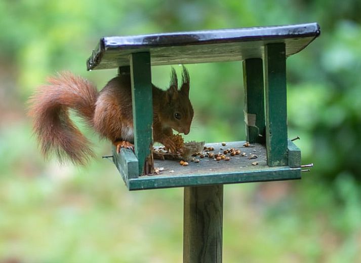 Gemuetliche Essecke im Ferienhaus in Voorthuizen, Veluwe, Gelderland.