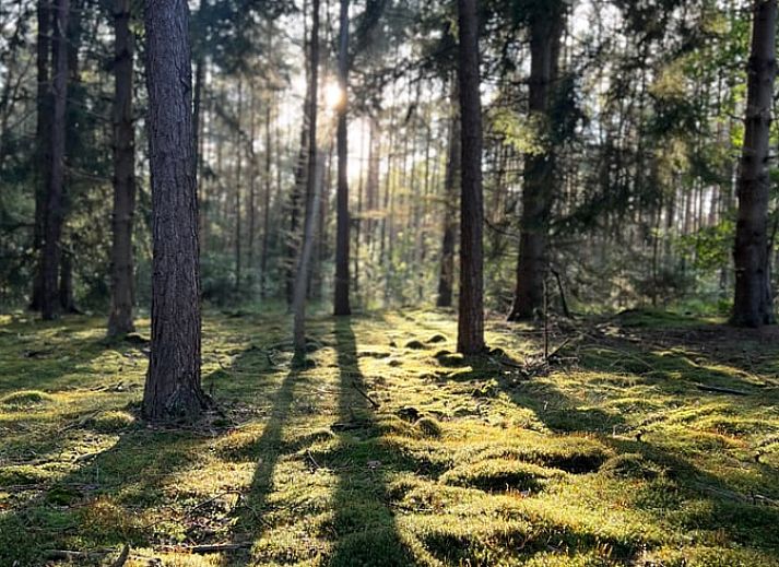 Gemuetliche Essecke im Ferienhaus in Voorthuizen, Veluwe, Gelderland.