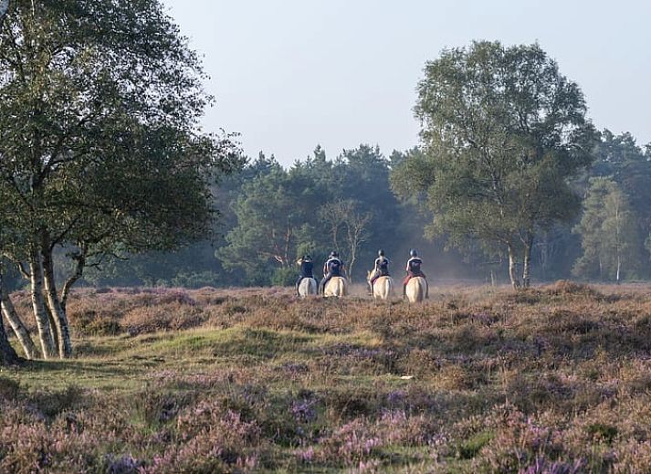 Gemuetliche Essecke im Ferienhaus in Voorthuizen, Veluwe, Gelderland.