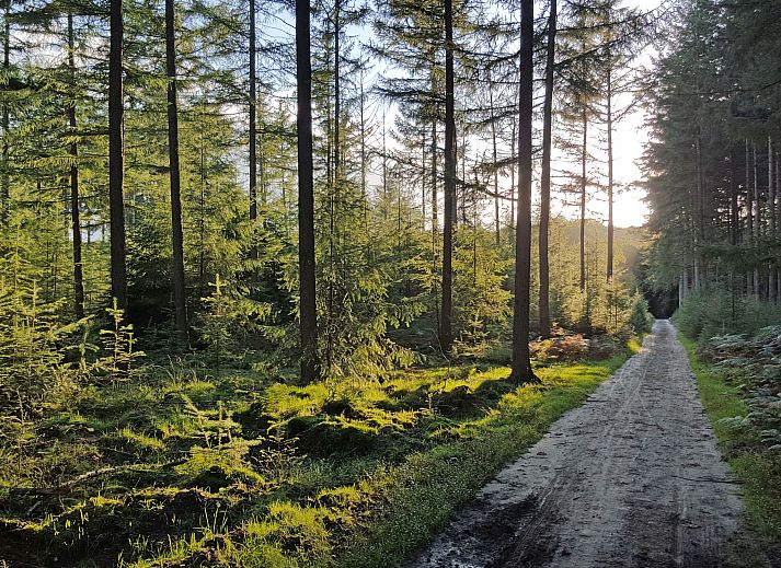 Schwimmbad im Ferienhaus Recreatiepark De Boshoek, Voorthuizen, Veluwe fuer Entspannung in der Natur.