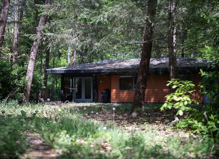 Guest house 322236 • Holiday property Veluwe • Vakantiehuisje in Voorthuizen