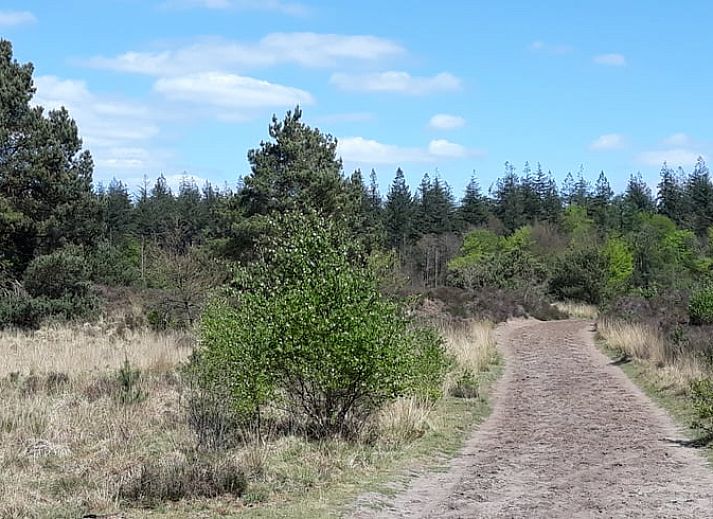 Gezellige woonkamer van Vakantiehuisje in Voorthuizen, Veluwe, met uitzicht op het terras en omringende natuur in Gelderland.