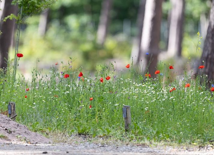 Gezellige woonkamer van Vakantiehuisje in Voorthuizen, Veluwe, met uitzicht op het terras en omringende natuur in Gelderland.