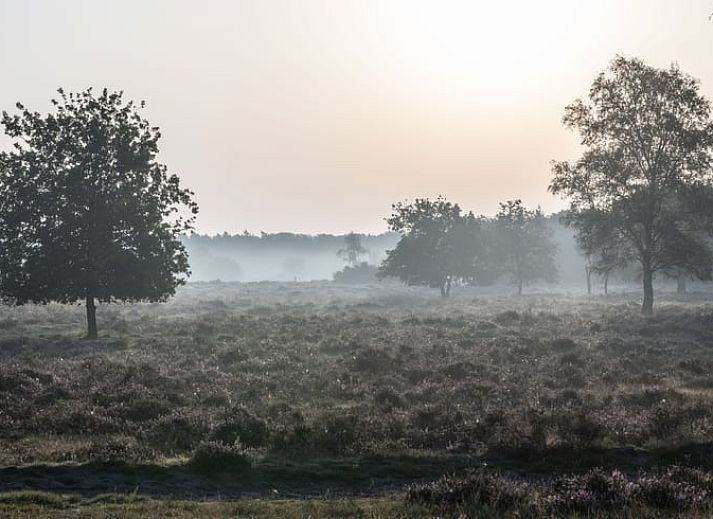 Gezellige woonkamer van Vakantiehuisje in Voorthuizen, Veluwe, met uitzicht op het terras en omringende natuur in Gelderland.