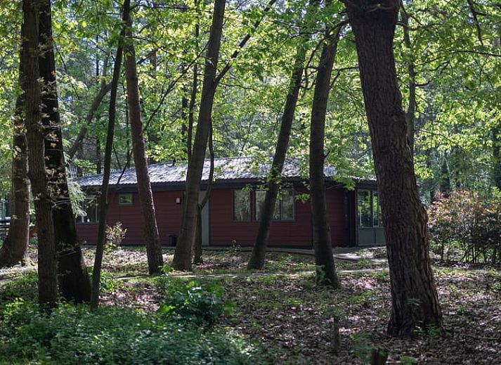 Verblijf 322237 • Vakantiewoning Veluwe • Vakantiehuisje in Voorthuizen