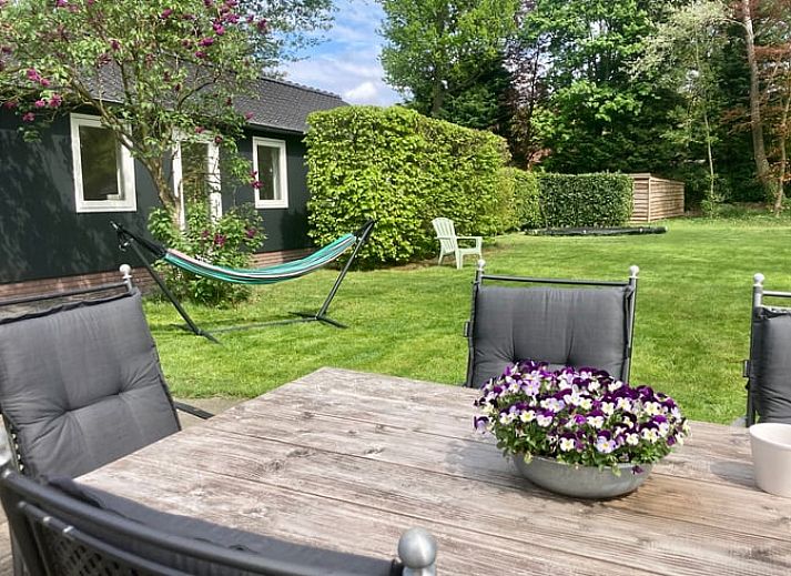 Guest house 322238 - Holiday property Veluwe - Vakantiehuis in Voorthuizen