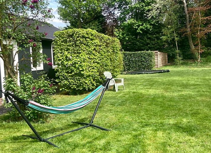 Guest house 322238 - Holiday property Veluwe - Vakantiehuis in Voorthuizen
