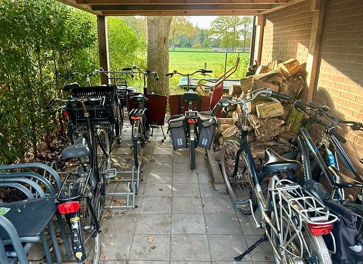 Ferienhaus in Voorthuizen, Veluwe: charmantes Ferienhaus mit Terrasse, umgeben von Natur in Gelderland.