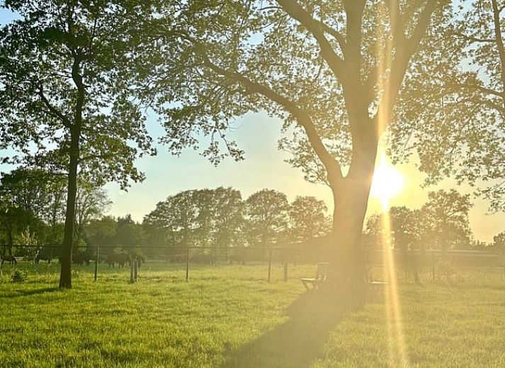 Fahrradschuppen im Ferienhaus in Voorthuizen, Veluwe, ideal fuer Fahrradliebhaber, die die schoene Umgebung von Gelderland erkunden moechten.