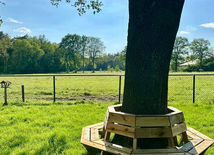 Fahrradschuppen im Ferienhaus in Voorthuizen, Veluwe, ideal fuer Fahrradliebhaber, die die schoene Umgebung von Gelderland erkunden moechten.