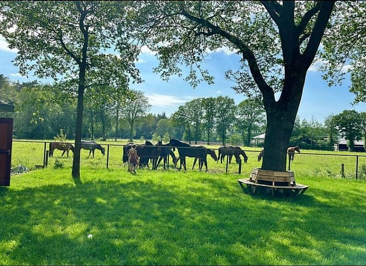 Fahrradschuppen im Ferienhaus in Voorthuizen, Veluwe, ideal fuer Fahrradliebhaber, die die schoene Umgebung von Gelderland erkunden moechten.