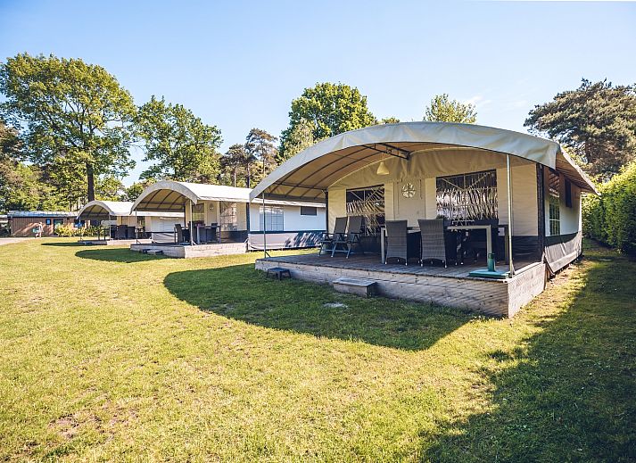Guest house 322285 • Tent house Veluwe • Tentvilla | 6 pers