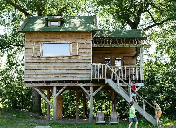 Unterkunft 322287 - Ferienhaus Veluwe - Boomhut