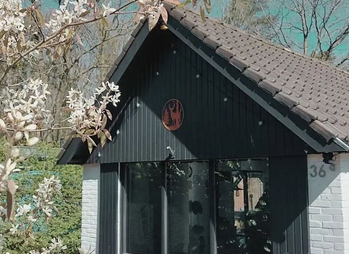 Verblijf 322295 - Vakantiewoning Veluwe - Oudveluwe - vakantiehuisje - bos
